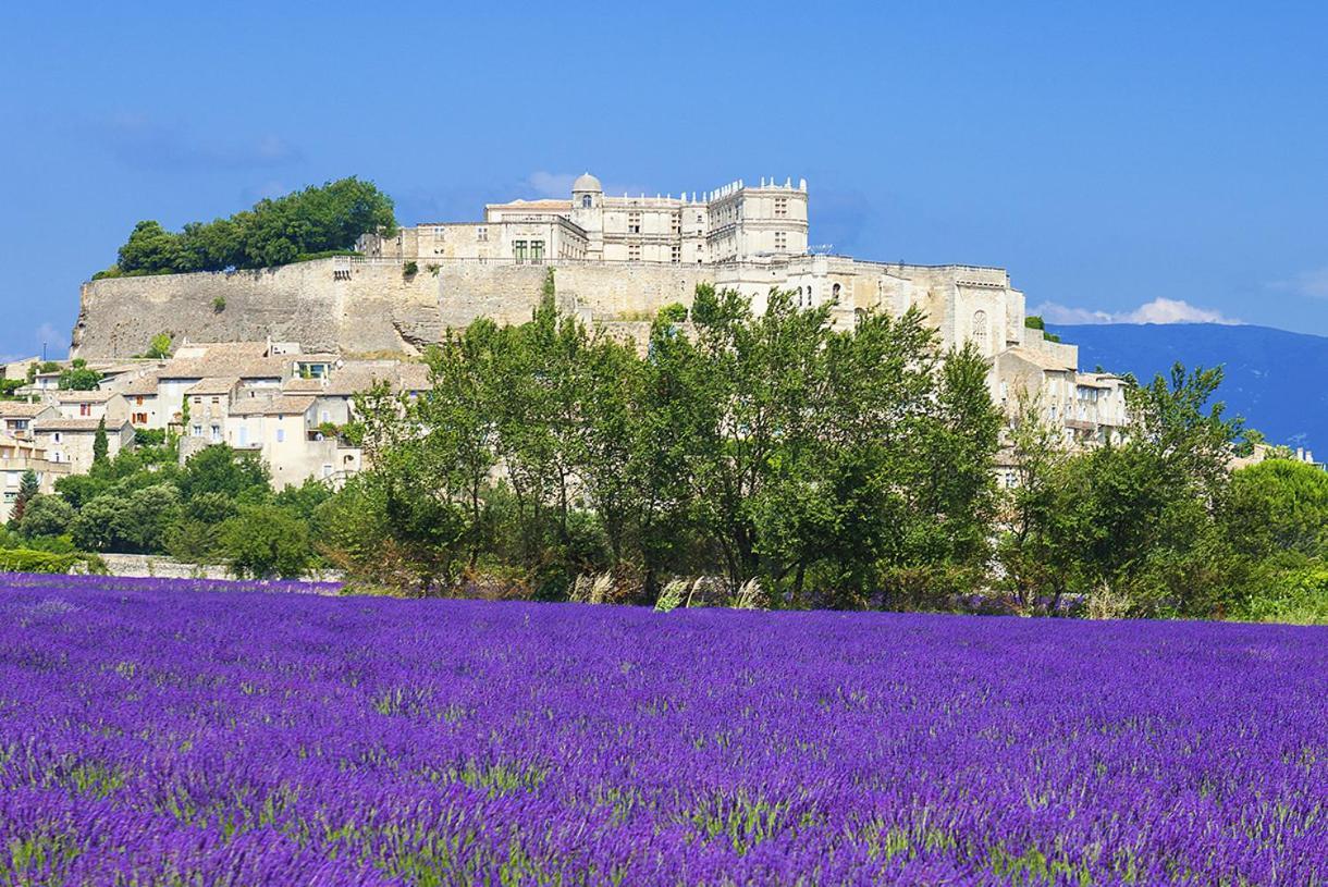 Le Cheynet Apartment Montelimar Bagian luar foto